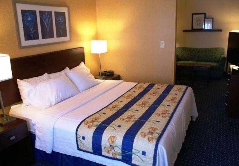 Springhill Suites Pittsburgh Mills Tarentum Oda fotoğraf
